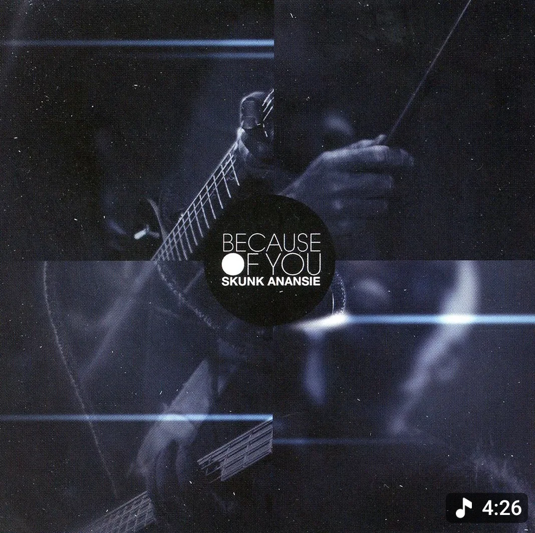 Copertina capitolo 17