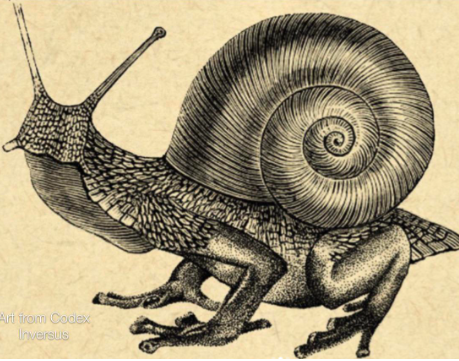 La cosa più particolare era una piccola chiocciola che per superare una pozza d'acqua, si creò all'istante quattro zampe, per poi tornare normale una volta oltrepassata