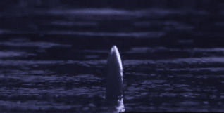 I bambini sognarono un possente drago che la pronunciava, seguito da occhi brillanti d'oro e una bellissima spada che emergeva dall'acqua: