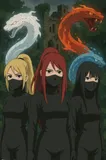 Copertina di La leggenda di Hime: la reliquia della Terra